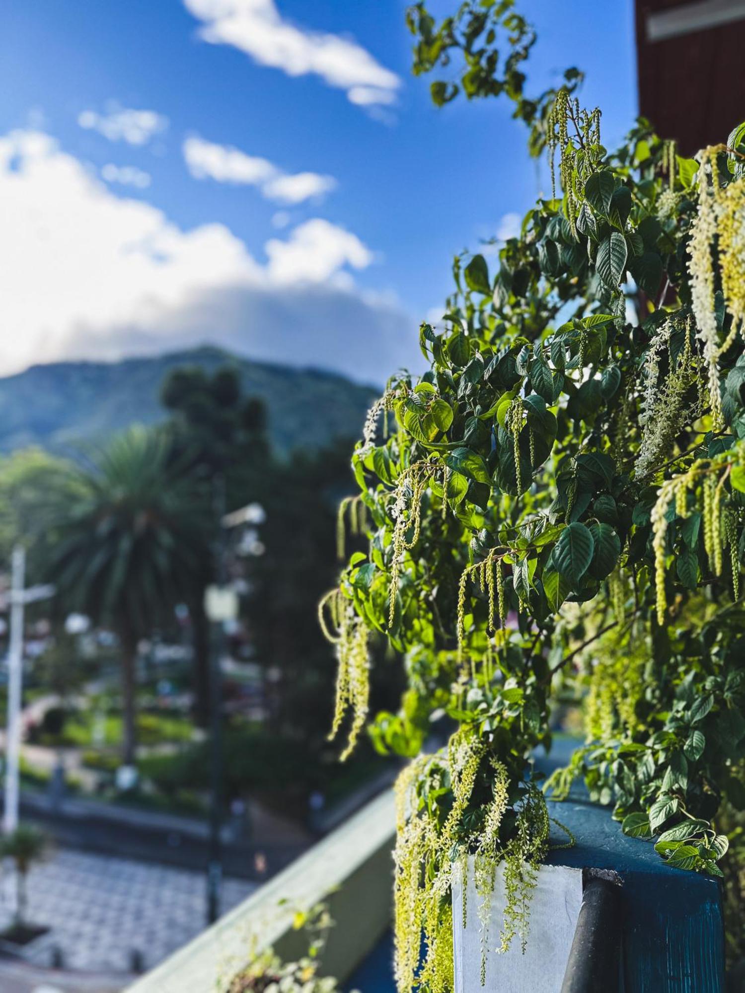 Hotel Agave Banos Bagian luar foto